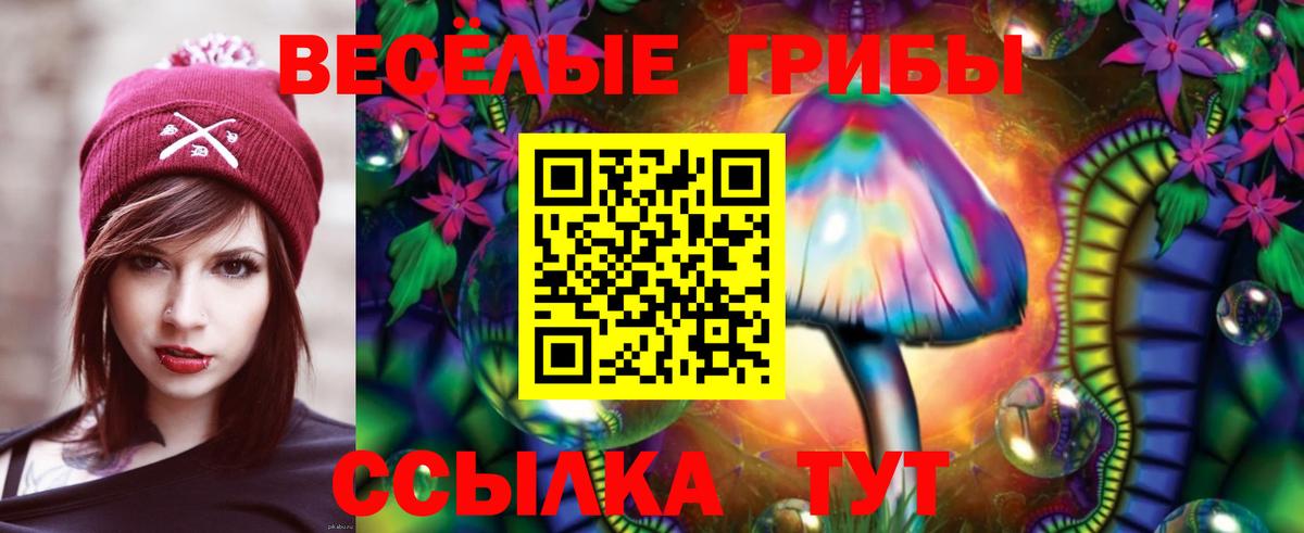 Псилоцибиновые грибы GOLDEN TEACHER  Вход с VPN  Майский 