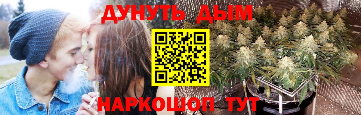 Канабис конопля  Бошки Шишки THC 21%  Конопля ГИДРОПОН  Майский  Вход с VPN 